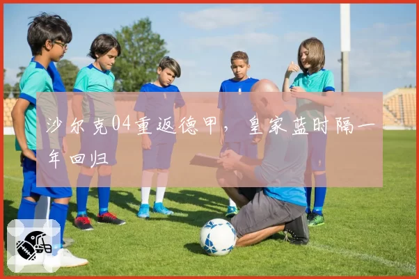 沙尔克04重返德甲,皇家蓝时隔一年回归