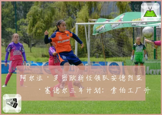 阿尔法·罗密欧新任领队安德烈亚斯·塞德尔三年计划：索伯工厂升级投入与赛道表现数据预测