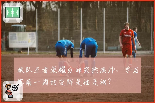 狼队王者荣耀分部突然换帅，季后赛前一周的变阵是福是祸？